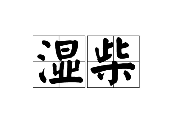 濕柴 濕柴