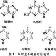 鹼基修飾劑 鹼基修飾劑