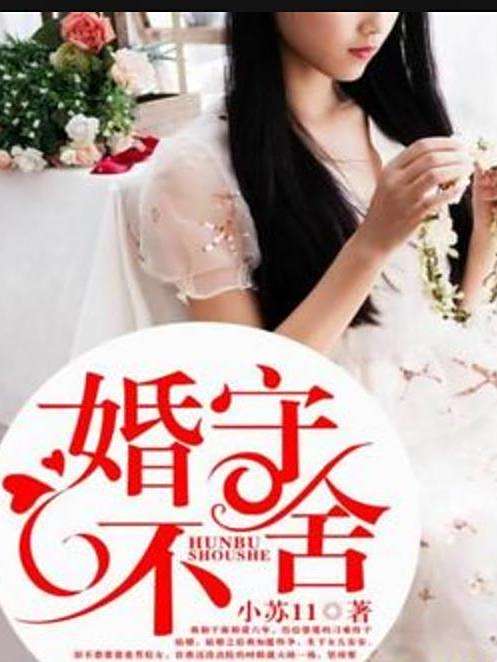 婚不守舍(小蘇11創作的現代言情小說) 婚不守舍(小蘇11創作的現代言情小說)