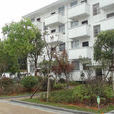 田墩鎮 田墩鎮