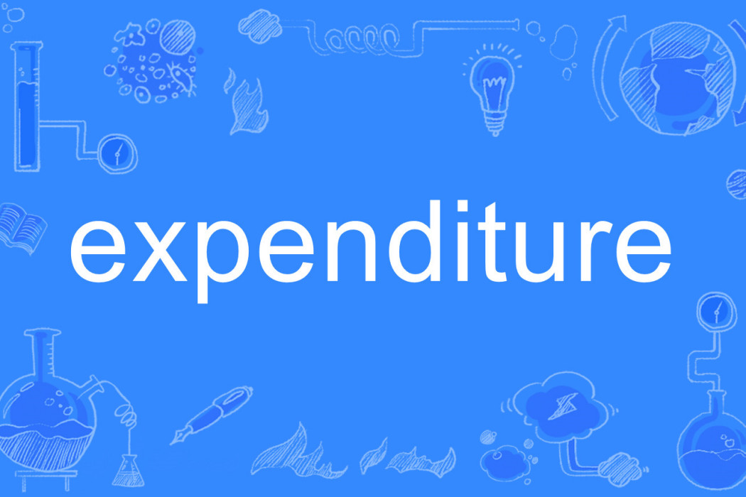 expenditure expenditure