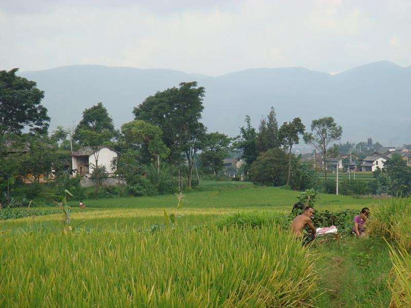 王頭寨村 王頭寨村