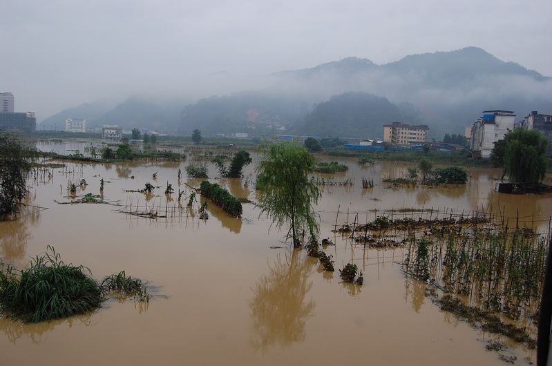 國務院批轉水利電力部關於黃河、長江、淮河、永定河防禦特大洪水方案報告的通知