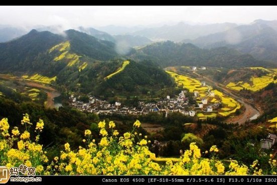 棋山村 棋山村