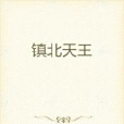 鎮北天王(閃線兒創作的奇幻玄幻類網路小說作品) 鎮北天王(閃線兒創作的奇幻玄幻類網路小說作品)