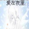 愛在夜裡 愛在夜裡
