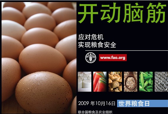 2009年世界糧食日宣傳海報(中文版)