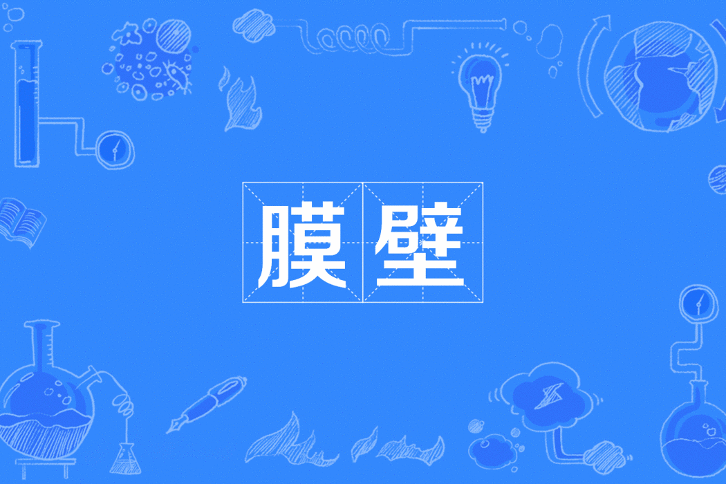 膜壁 膜壁