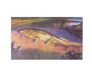 魚石螈