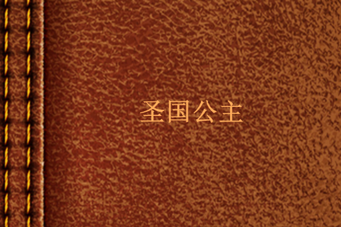 聖國公主 聖國公主