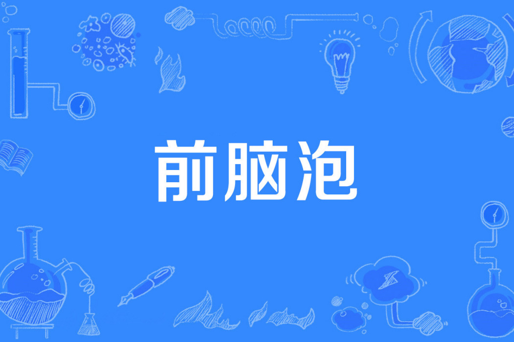 前腦泡 前腦泡