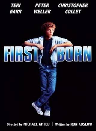 小羅伯特·唐尼(Robert Downey Jr.) 小羅伯特·唐尼(Robert Downey Jr.)