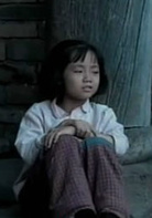 春草(2008年鄭曉龍執導現實題材電視劇)