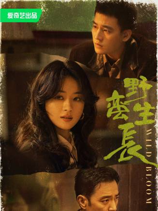 柯藍(中國內地女演員、主持人、模特) 柯藍(中國內地女演員、主持人、模特)
