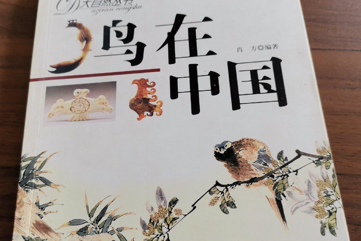 鳥在中國 鳥在中國