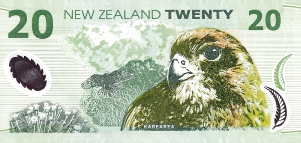 紐西蘭元(kiwi（紐西蘭元的俗稱）)