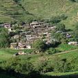 石中坪村 石中坪村