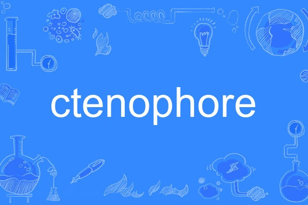 ctenophore ctenophore