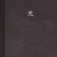 光(中國作家墨白的小說) 光(中國作家墨白的小說)