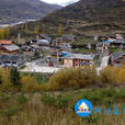 傳子溝 傳子溝