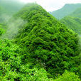 廣州市生態公益林經濟補償辦法