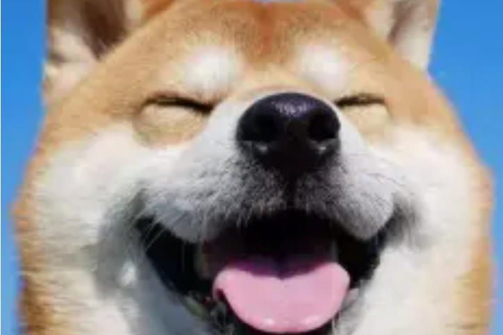 Mr迷瞪 Mr迷瞪
