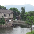 萬華村 萬華村