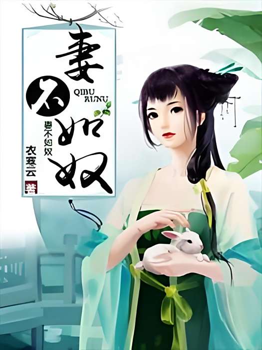 妻不如奴 妻不如奴
