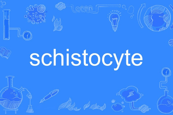 schistocyte schistocyte