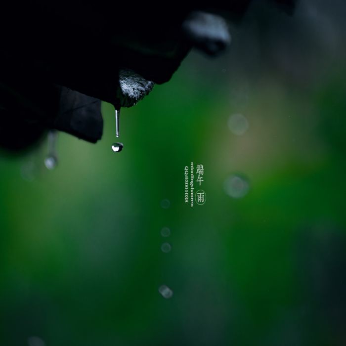 端午節的雨 端午節的雨