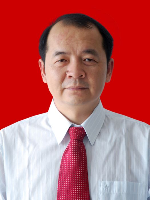 周鴻(鹹寧市經信局黨組成員、副局長) 周鴻(鹹寧市經信局黨組成員、副局長)