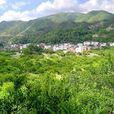 深橋鎮 深橋鎮