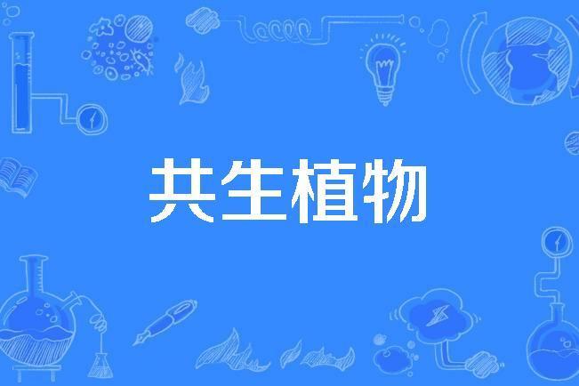 共生植物 共生植物