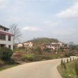 南沖村(湖南省臨武縣雙溪鄉南沖村) 南沖村(湖南省臨武縣雙溪鄉南沖村)