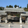 柳杉王公園 柳杉王公園
