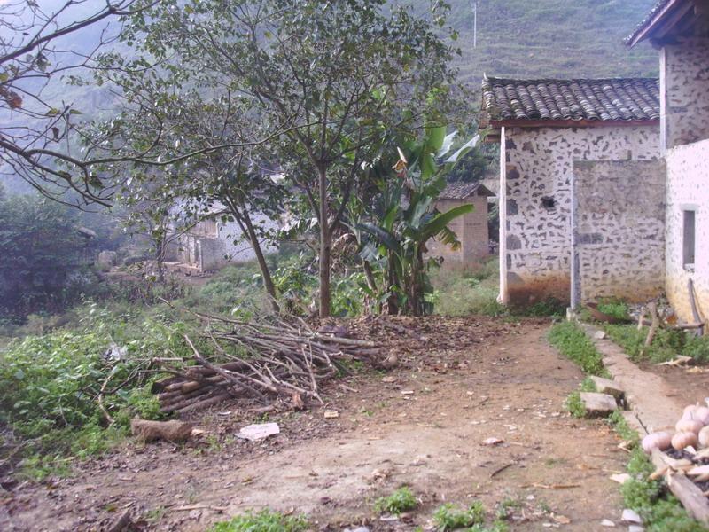 住麻村 住麻村