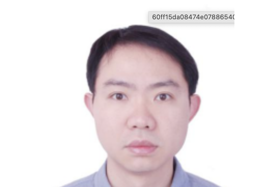 羅銘(南昌大學軟體學院副院長、教授) 羅銘(南昌大學軟體學院副院長、教授)