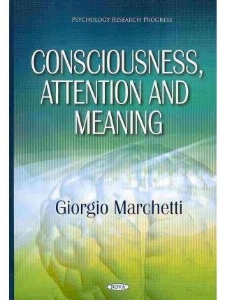 Consciousness, Attention and Meaning Consciousness, Attention and Meaning