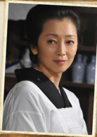 鳶(日本2013年佐藤健、內野聖陽主演電視劇)