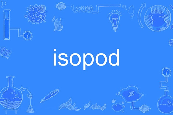 isopod isopod
