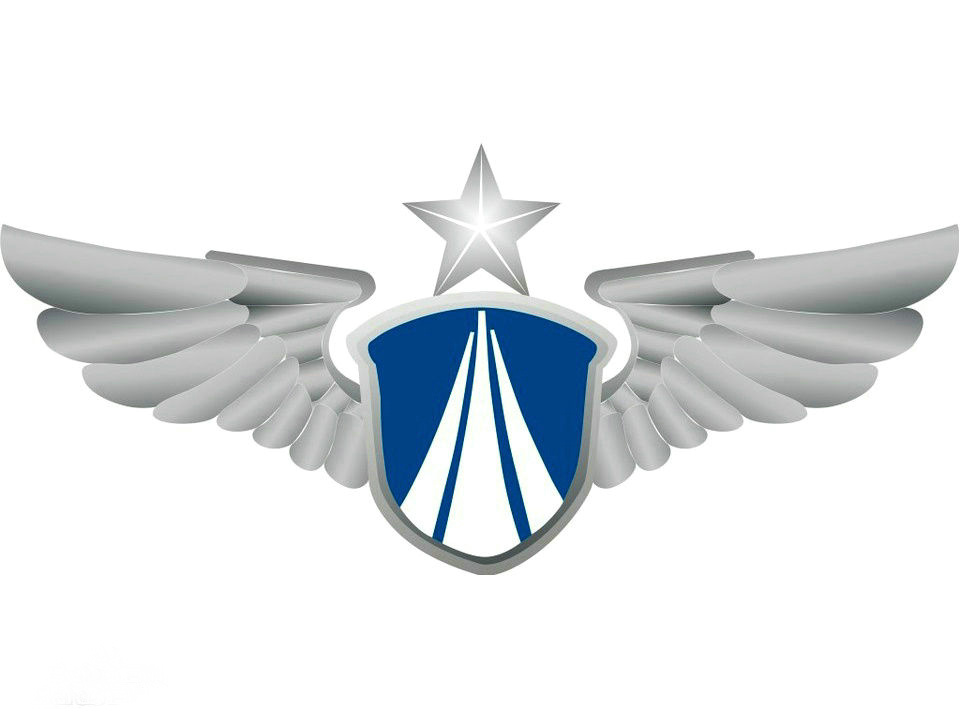 中國空軍軍徽