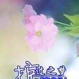 掠過之夢 掠過之夢