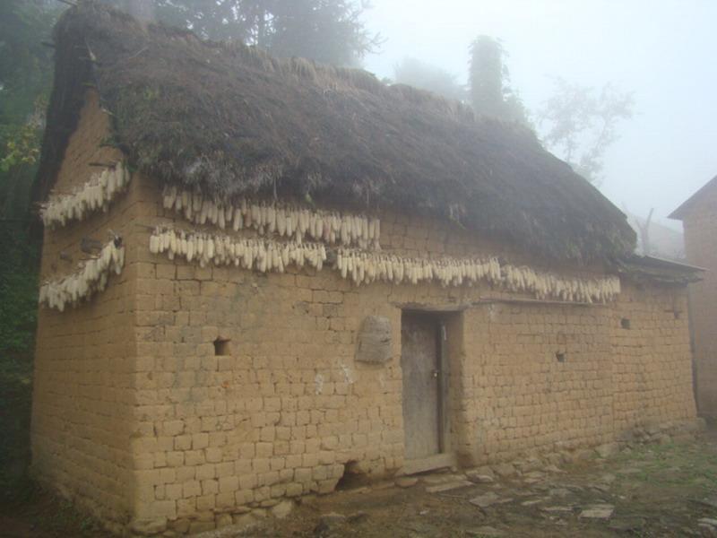 東妹村 東妹村