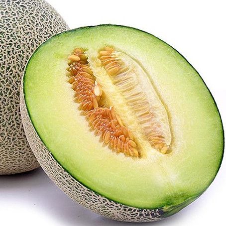 魯厚甜1號 魯厚甜1號