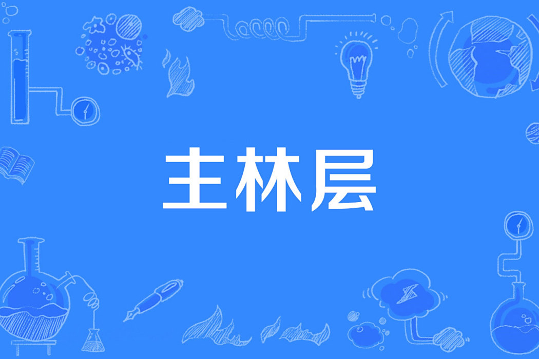 主林層 主林層