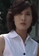 親愛的敵人(2008年郭曉冬主演電視劇)