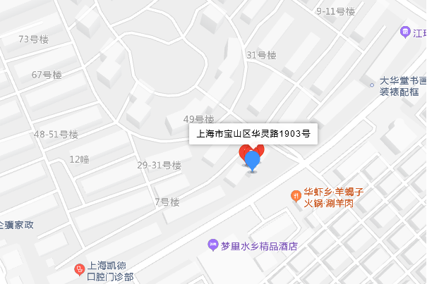 華靈路1903號 華靈路1903號