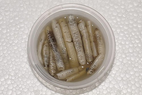 安海土筍凍 安海土筍凍
