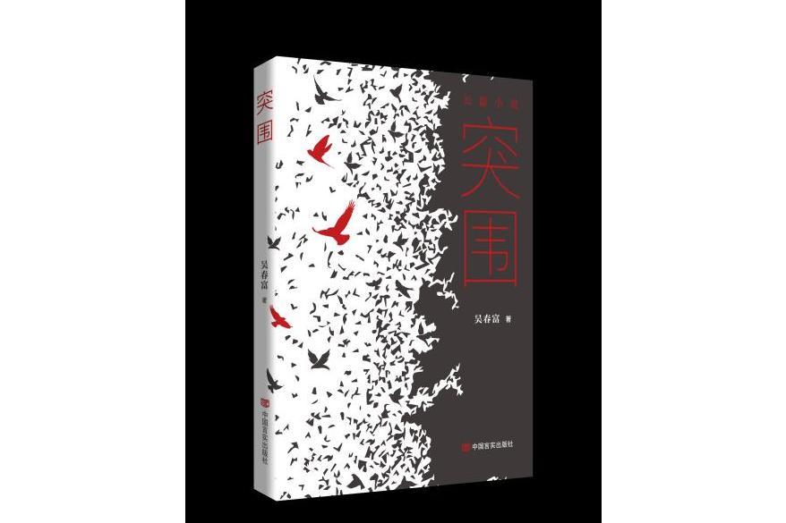 突圍(2023年中國言實出版社出版圖書) 突圍(2023年中國言實出版社出版圖書)