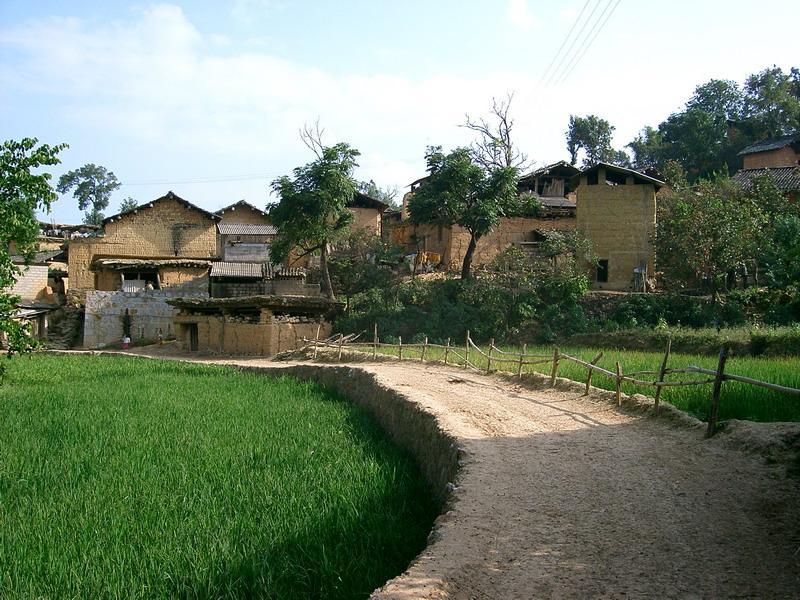 大塔沖村 大塔沖村